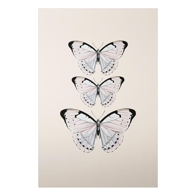quadro de borboletas Butterfly On Beige