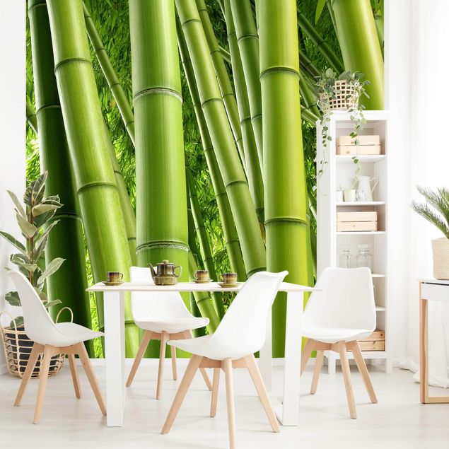 papel de parede floresta tropical Bamboo Trees