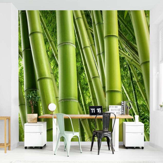paisagens naturais papel de parede Bamboo Trees