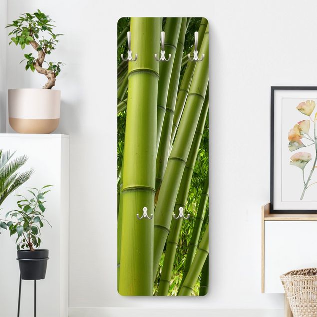 Cabides de parede paisagens Bamboo Trees
