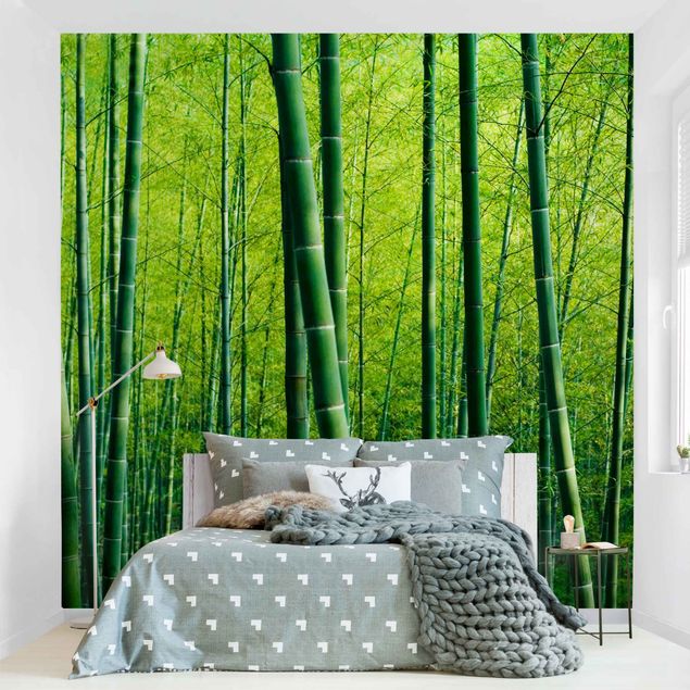 papel de parede para quarto de casal 3d Bamboo Forest