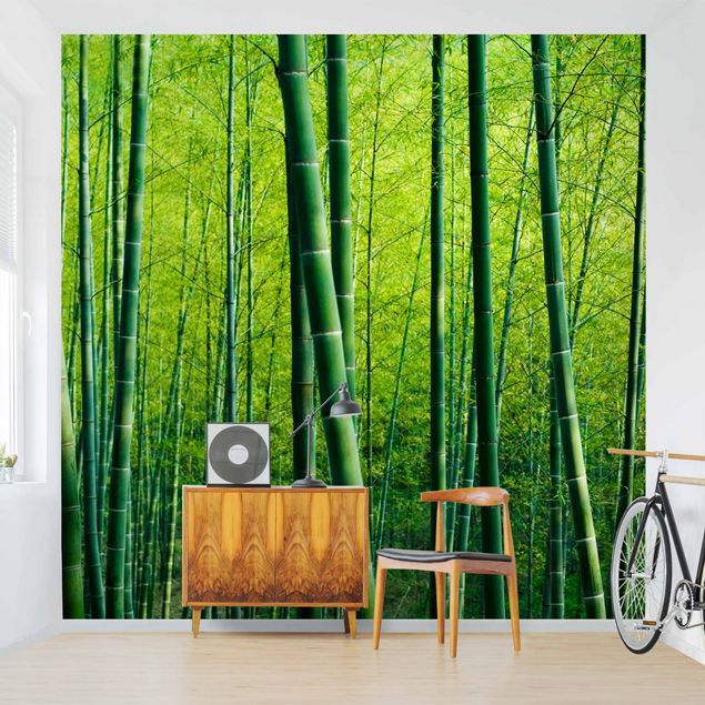 papel de parede para quarto de casal moderno Bamboo Forest
