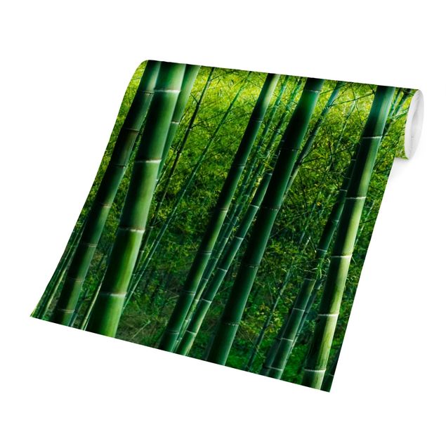 Papel de parede verde Bamboo Forest