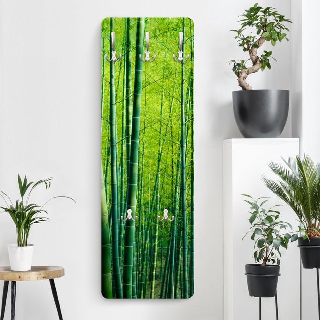 Cabides de parede paisagens Bamboo Forest