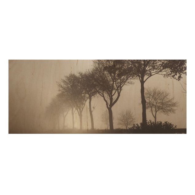 Quadros em madeira paisagens Tree Avanue In Morning Mist