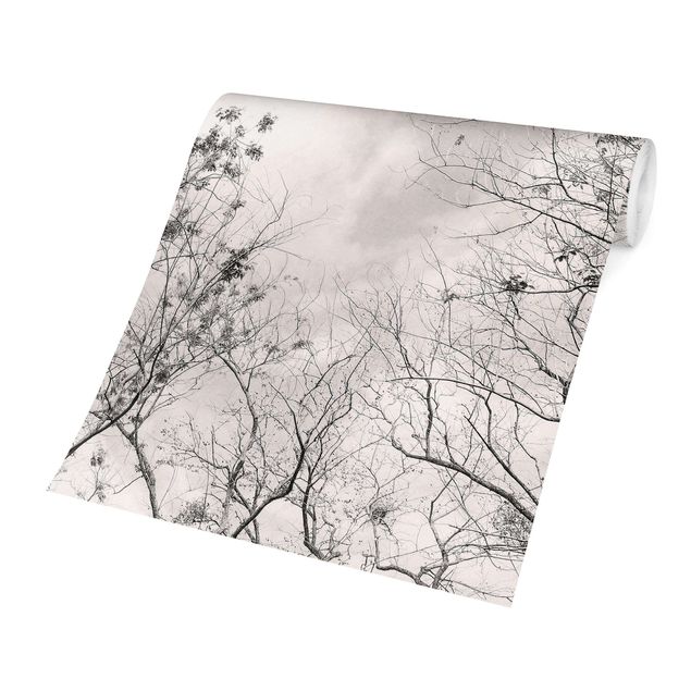 Papel de parede cinza Treetops In The Sky In Warm Grey