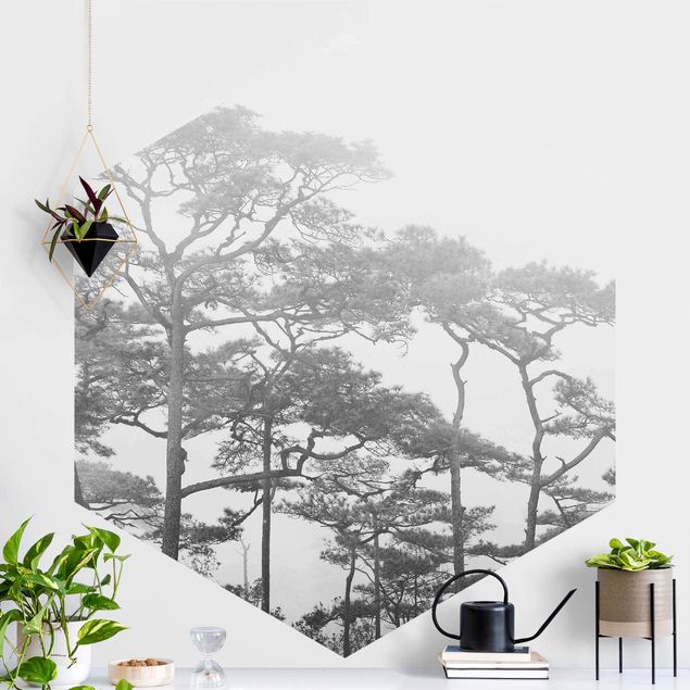 decoraçao cozinha Treetops In Fog Black And White