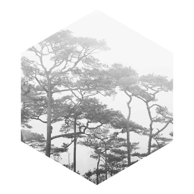 Papel de parede hexagonal Treetops In Fog Black And White