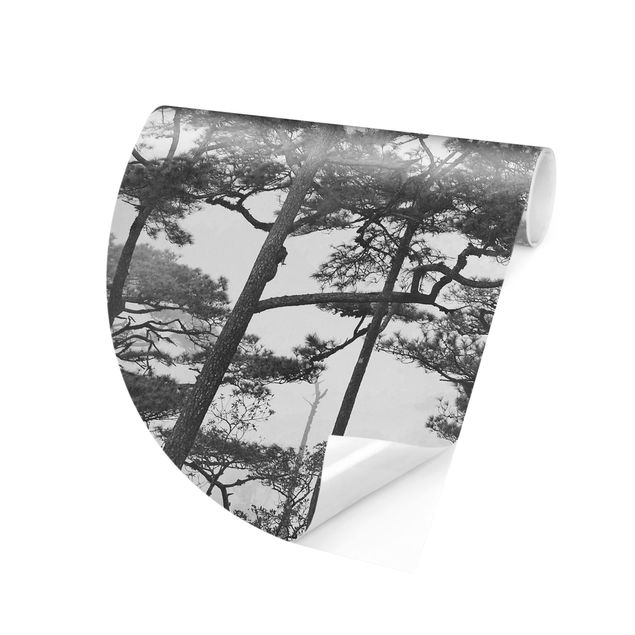 papel de parede moderno Treetops In Fog Black And White