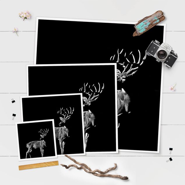 Quadros decorativos Deer In The Dark