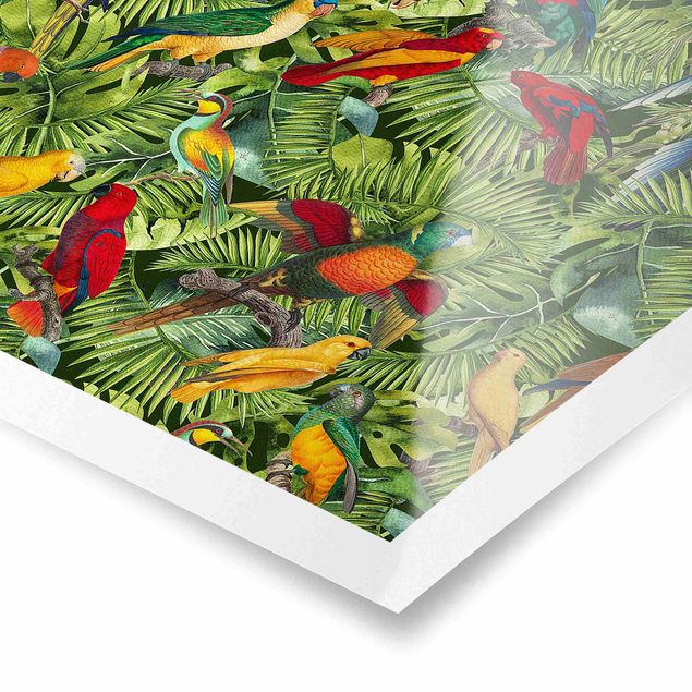 Quadros multicoloridos Colourful Collage - Parrots In The Jungle