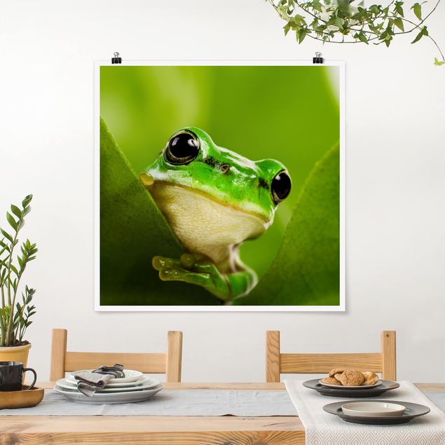 Posters flores Frog