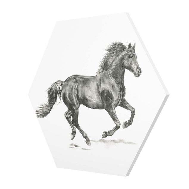 Quadros preto e branco Wild Horse Trial - Stallion
