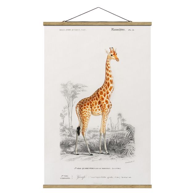 Quadros retro Vintage Board Giraffe