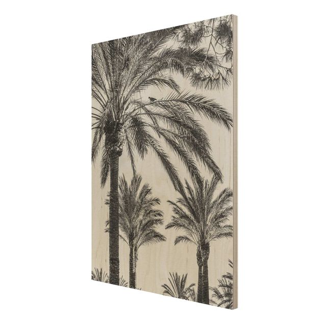 Quadros em madeira paisagens Palm Trees At Sunset Black And White