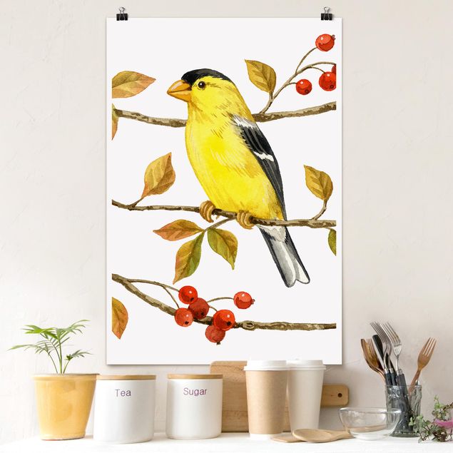 decoraçao para parede de cozinha Birds And Berries - American Goldfinch