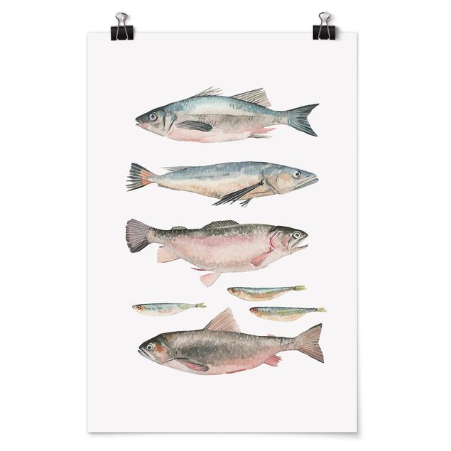 Quadros modernos Seven Fish In Watercolour I