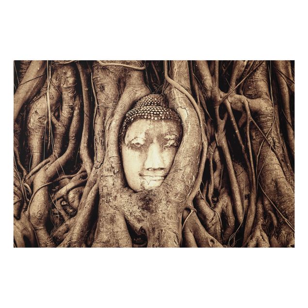 Painel anti-salpicos de cozinha Buddha In Ayutthaya From Tree Roots Lined In Brown