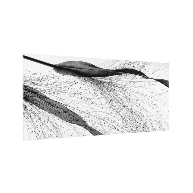 Painel antisalpicos Delicate Reed With Subtle Buds Black And White