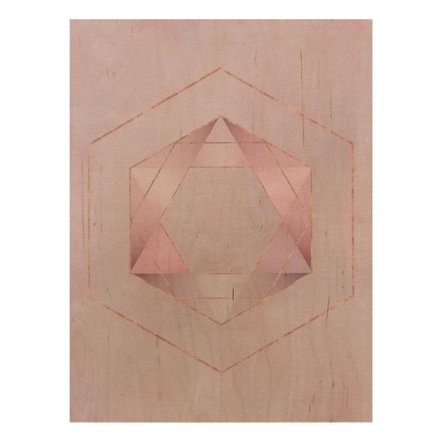 Quadros de Andrea Haase Geometry In Pink And Gold I