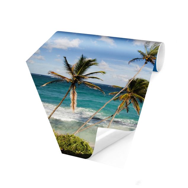 papel parede de flor Beach Of Barbados