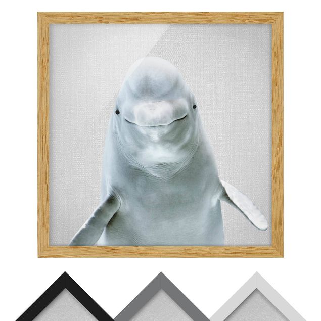 quadros preto e branco para decoração Beluga Whale Bob