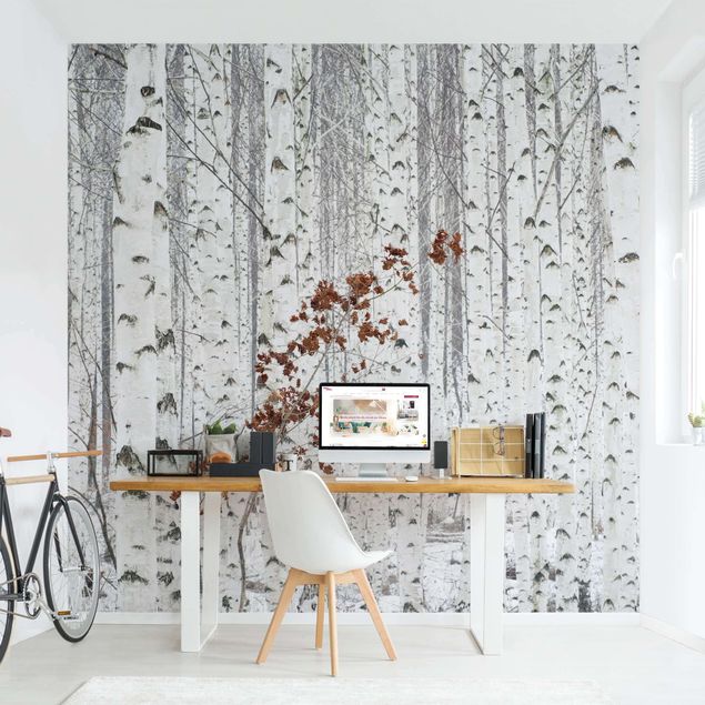papel de parede moderno para sala Birch Trees In Autumn