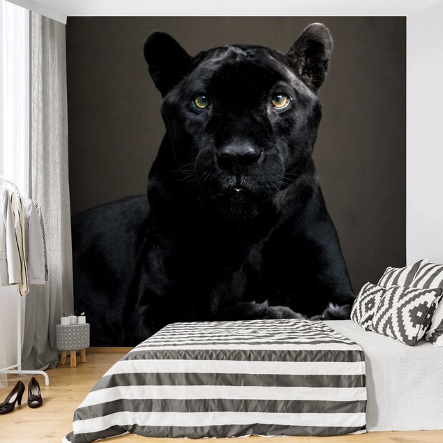 Papel de parede gatos Black Puma