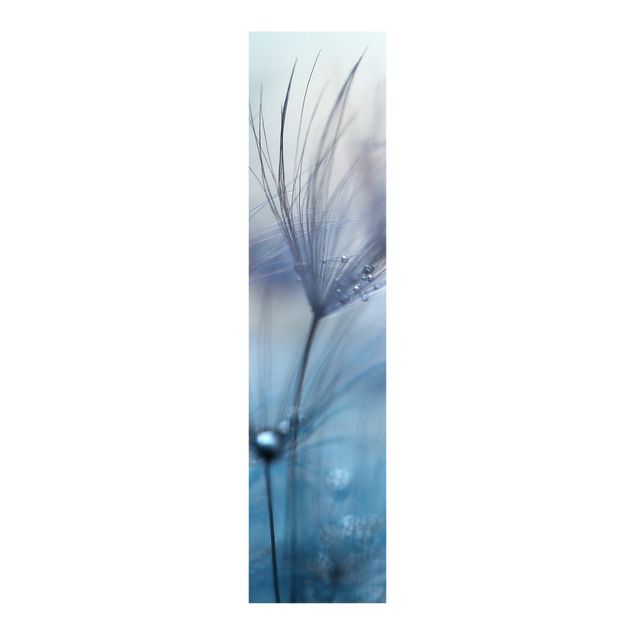 Painéis japoneses flores Blue Feathers In The Rain