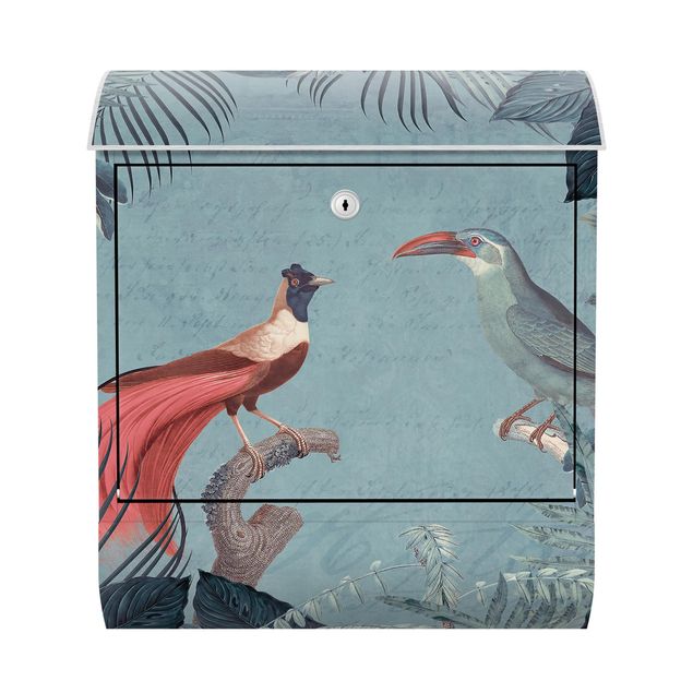 Caixas de correio flores Blue Gray Paradise With Tropical Birds