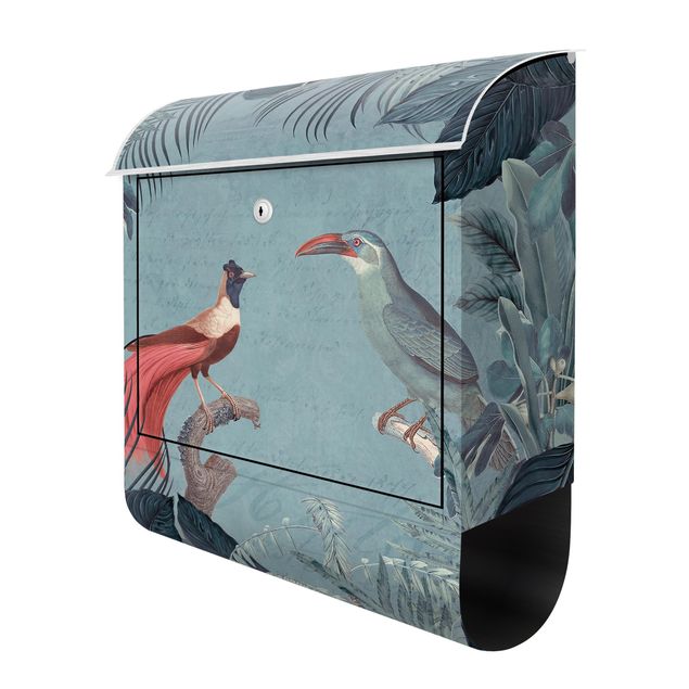caixa de correio cinza Blue Gray Paradise With Tropical Birds
