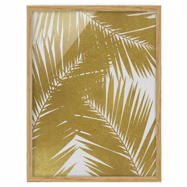 Quadros florais View Through Golden Palm Leaves