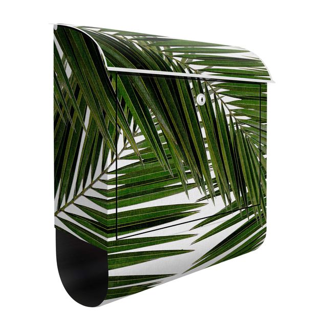 Caixas de correio flores View Through Green Palm Leaves