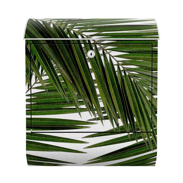 Caixas de correio paisagens View Through Green Palm Leaves