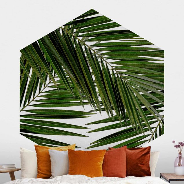 decoraçoes cozinha View Through Green Palm Leaves