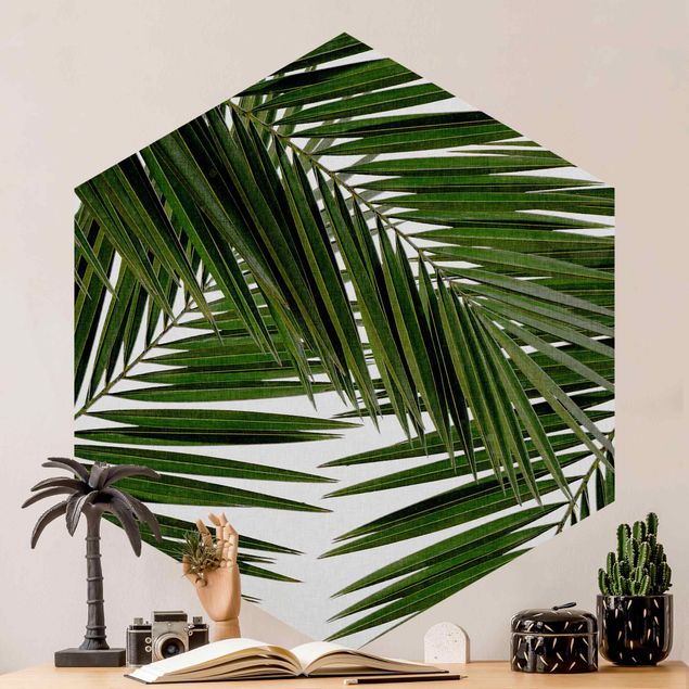 Papel de parede dourado View Through Green Palm Leaves