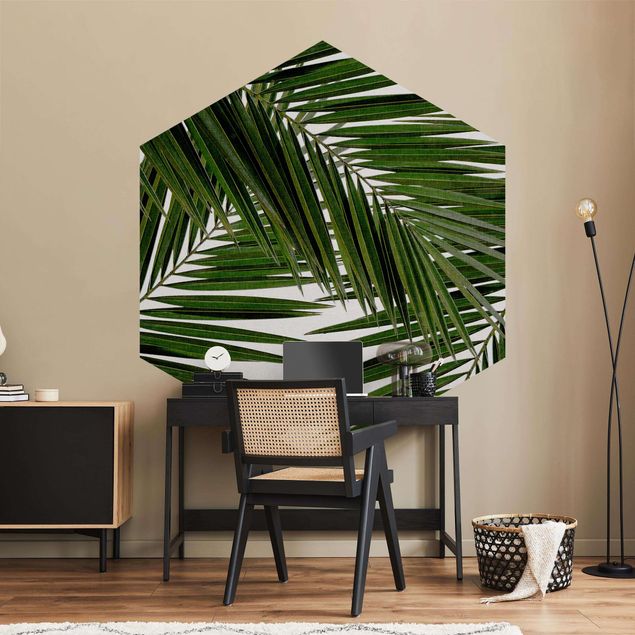 papel de parede moderno View Through Green Palm Leaves