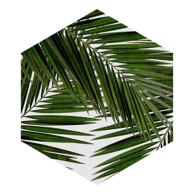 Papel de parede hexagonal View Through Green Palm Leaves