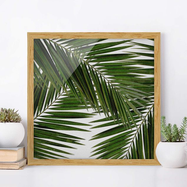 decoraçao cozinha View Through Green Palm Leaves