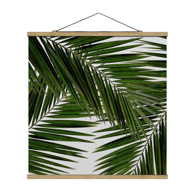 quadro com flores View Through Green Palm Leaves