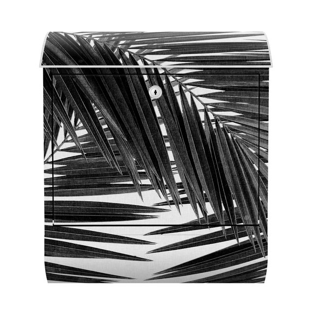 Caixas de correio em preto e branco View Through Palm Leaves Black And White