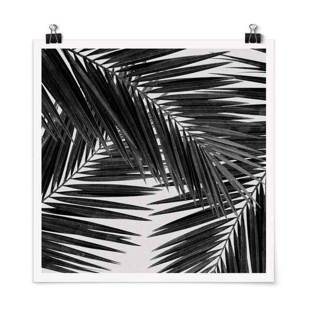 Posters quadros famosos View Through Palm Leaves Black And White