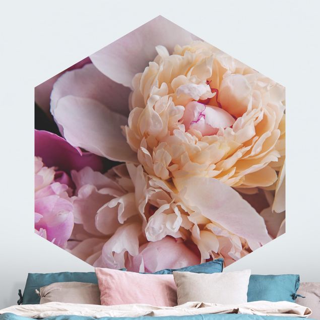 papel de paredes rosas Blooming Peonies