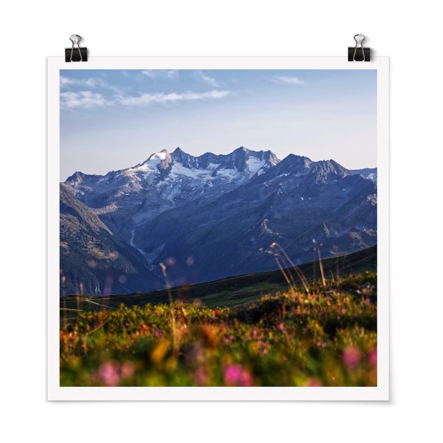 Posters flores Flowering Meadow In The Mountains