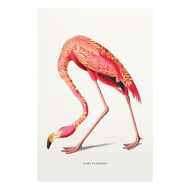 Quadros decorativos Boho Birds - Flamingo