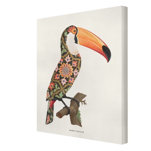 Quadros de Jonas Loose Boho Birds - Toucan