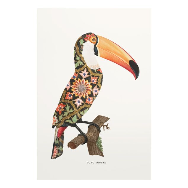 Quadros de Jonas Loose Boho Birds - Toucan