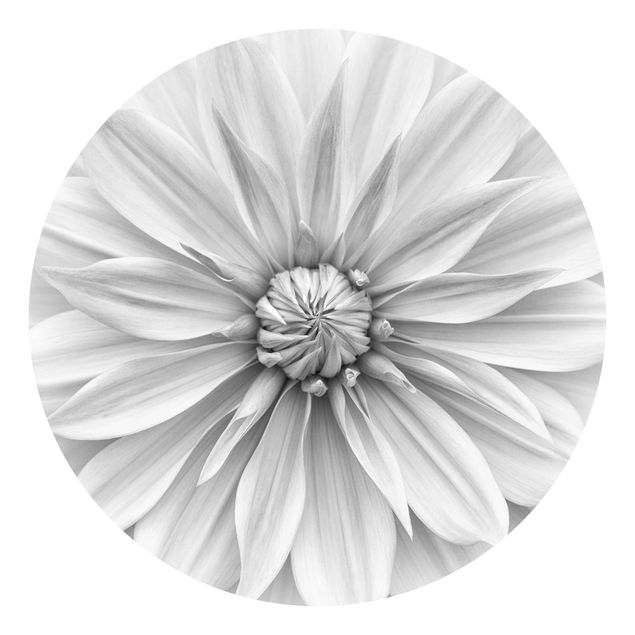 Papel de parede preto e branco Botanical Blossom In White