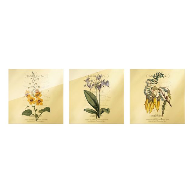 quadros para parede Botanical Table Set I