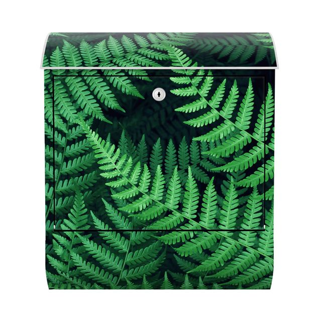 caixa correio verde Fern